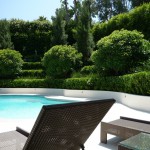 Ondulating landscape