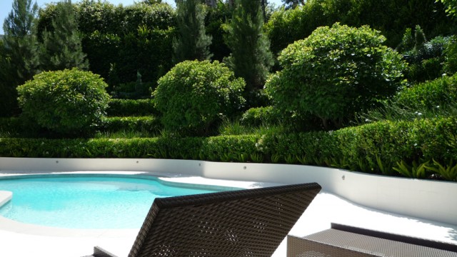 Ondulating landscape