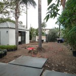 Venice Beach contemporary garden