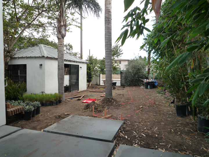 Venice Beach contemporary garden