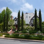 Cypresses
Low maintenance hedges