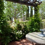 New pergola covered with 
growing Wisteria
Low maintenance hedges