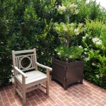 Furniture and orangerie planter