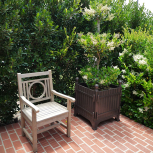 Furniture and orangerie planter
