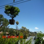 Tree air delivery