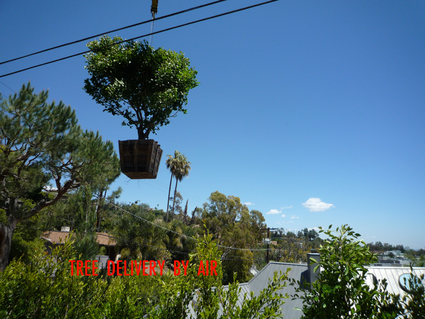 Tree air delivery