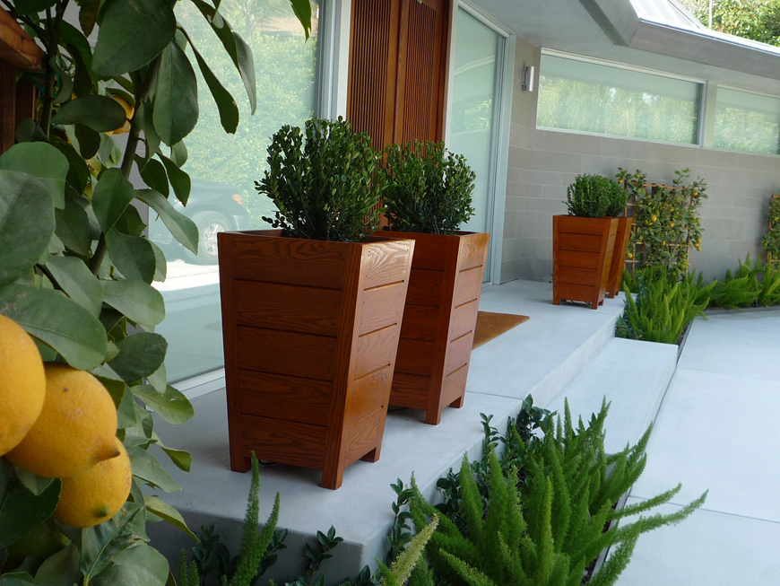 Boxwood in custom made planters