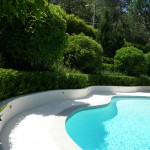 Pool deck privacy