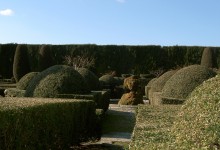 Maintenance: trimming hedges