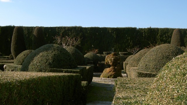 Maintenance: trimming hedges