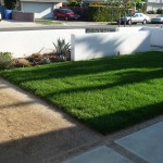 Front Lawn_P1060879