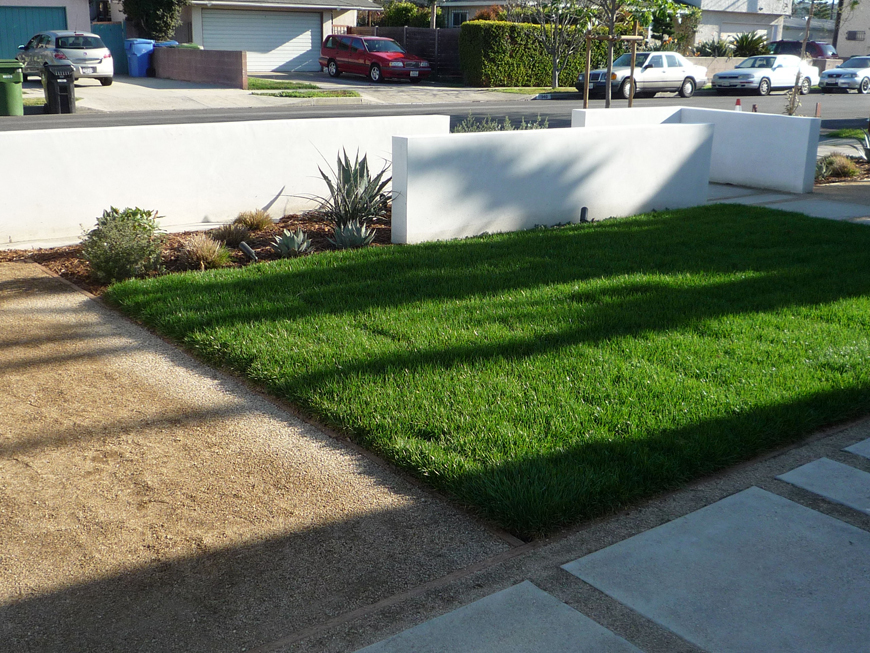 Front Lawn_P1060879