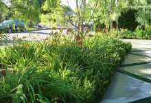 Tropical garden in Pacific Palisades, Alma Real neighborhood