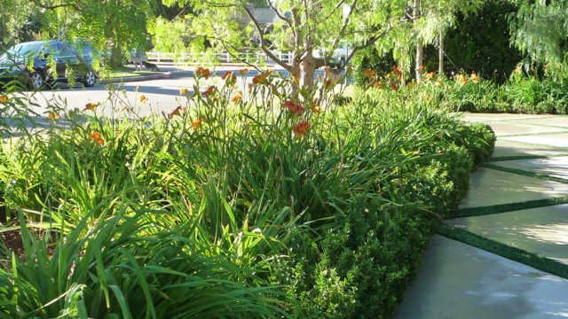Tropical garden in Pacific Palisades, Alma Real neighborhood