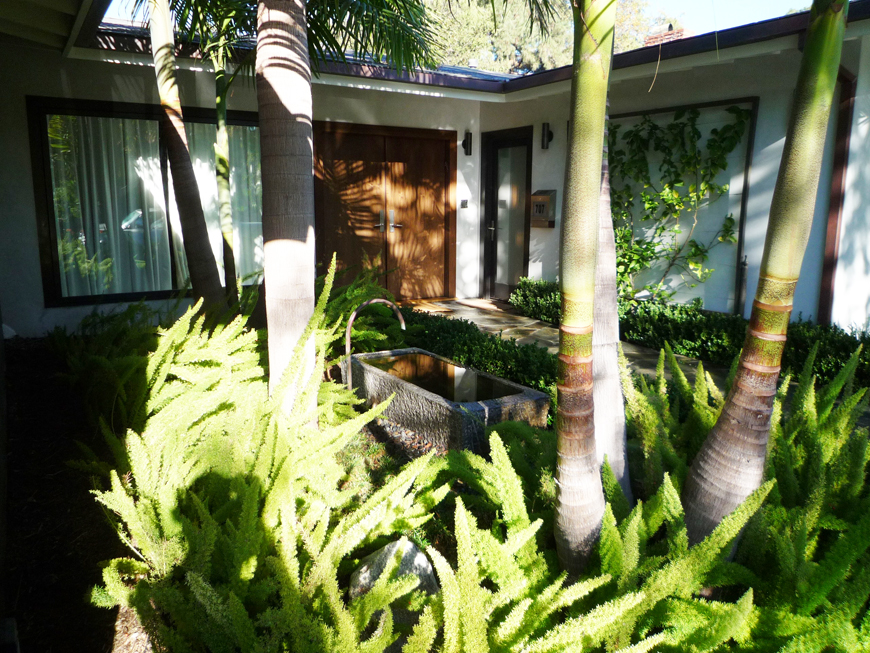 tropical frontyard entrance P1060175