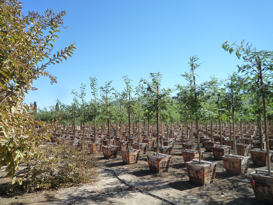 nursery