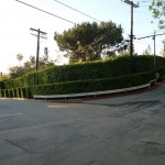 SMP1070133