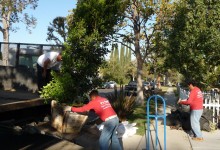 Lake Balboa: small budget makes big makeover too!