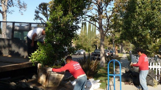 Lake Balboa: small budget makes big makeover too!