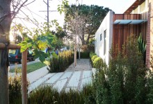 Venice Beach new villa: contempary landscape lines wrapping old school garden values