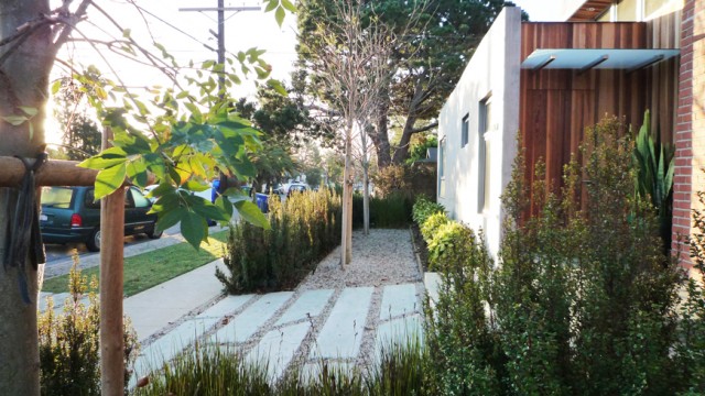 Venice Beach new villa: contempary landscape lines wrapping old school garden values