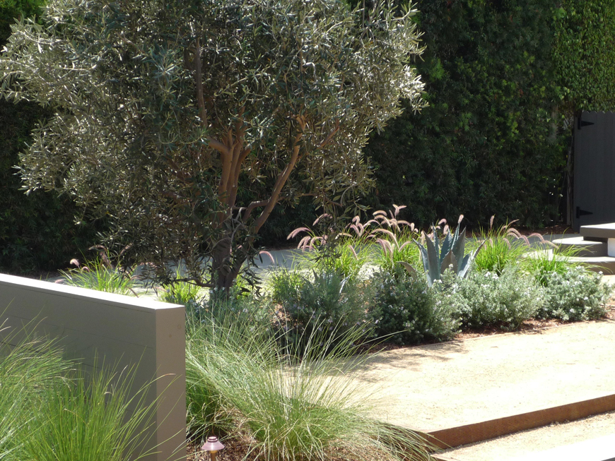 Santa Monica full landscape make over