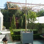 orangerieplanterSycamorWebL